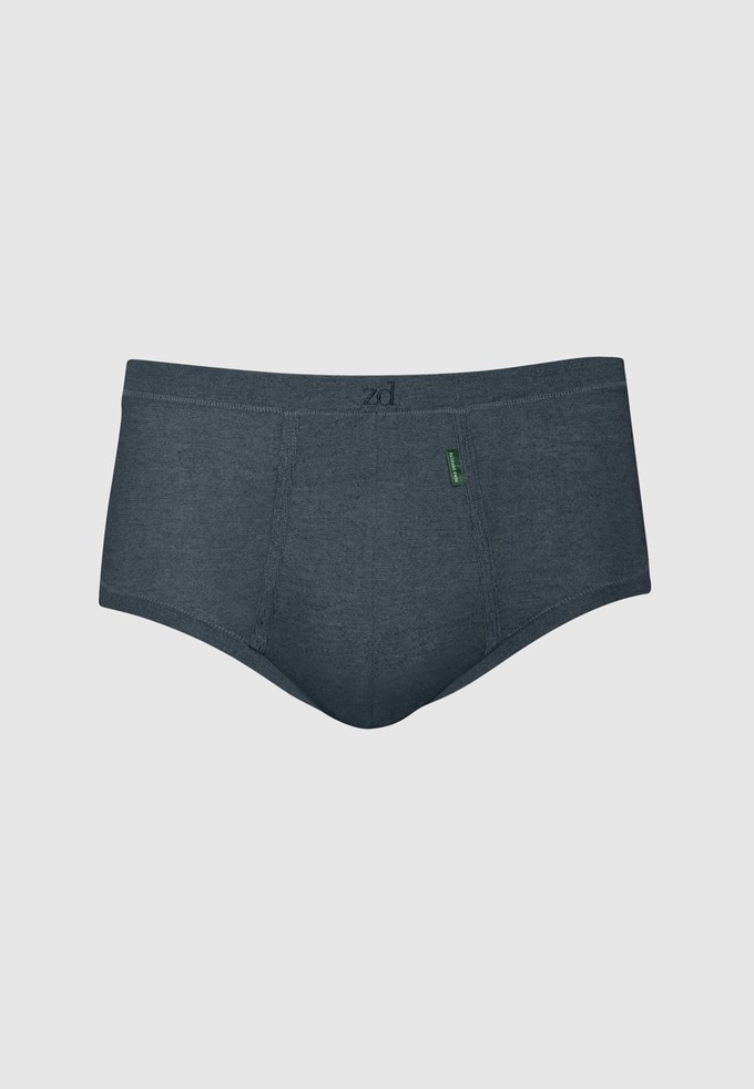 Senior fly front brief from ZD ZERO DEFECTS Senior fly front brief from ZD ZERO DEFECTS