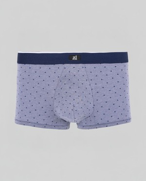 Arizona Trunk from ZD ZERO DEFECTS