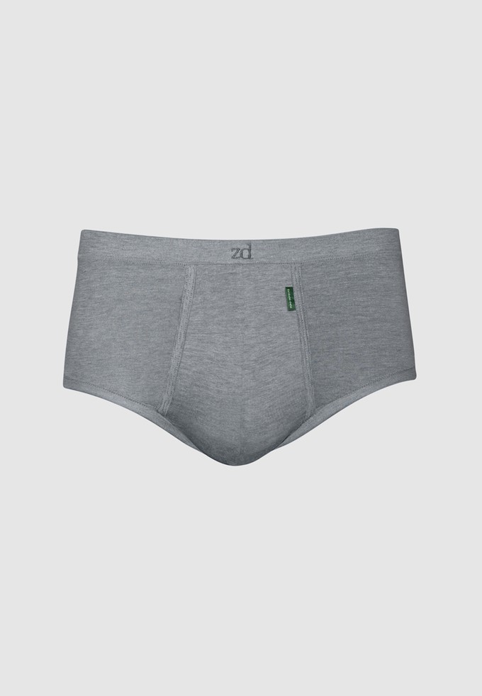 Senior fly front brief from ZD ZERO DEFECTS Senior fly front brief from ZD ZERO DEFECTS