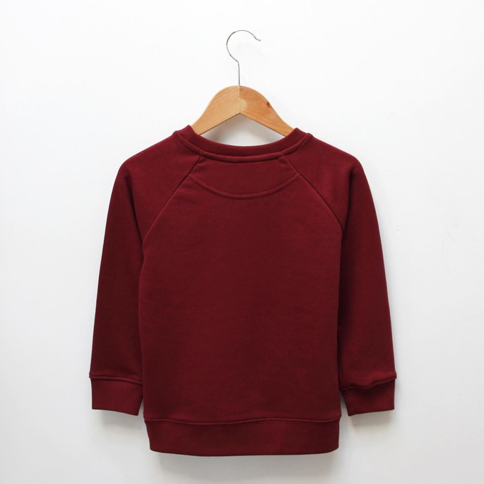 Kids sweater ‘Horse-d’oeuvre’ | Burgundy from zebrasaurus