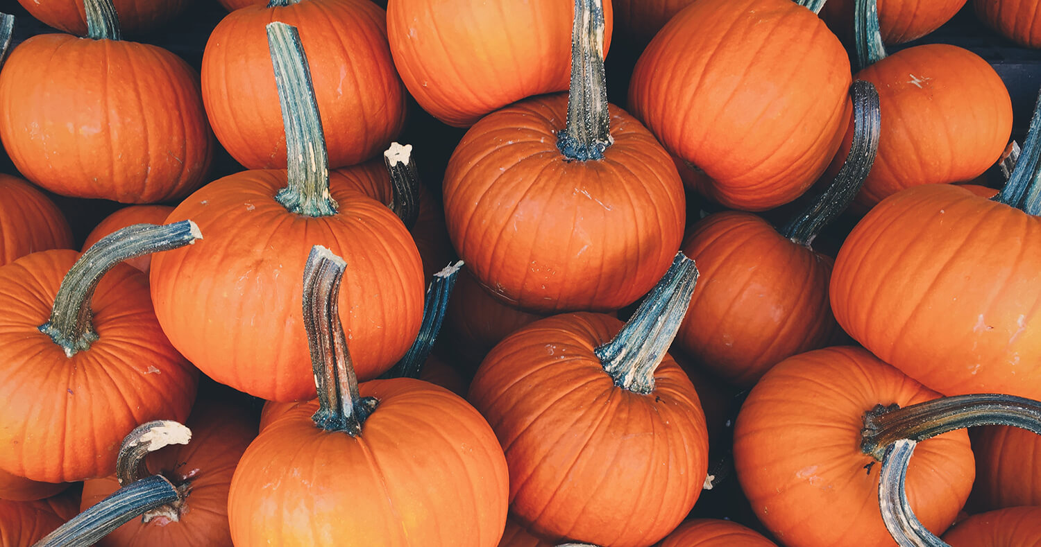 How to Have a Sustainable Halloween: Orange, Black & Green!